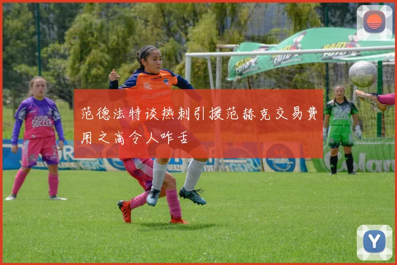 范德法特谈热刺引援范赫克交易费用之高令人咋舌