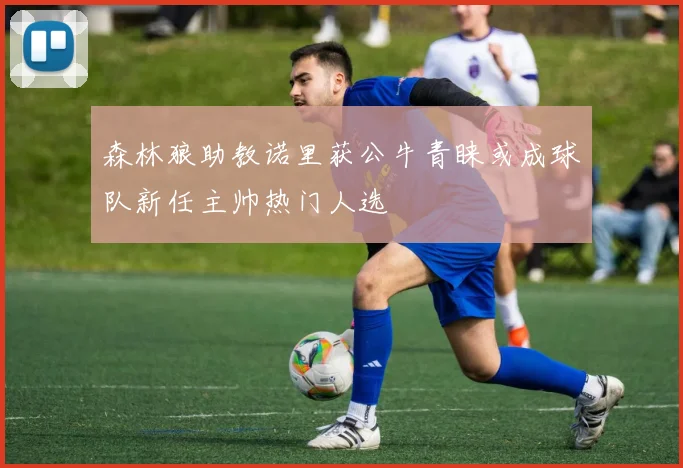 森林狼助教诺里获公牛青睐或成球队新任主帅热门人选