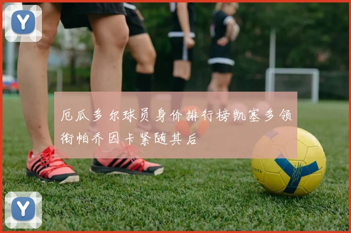 厄瓜多尔球员身价排行榜凯塞多领衔帕乔因卡紧随其后