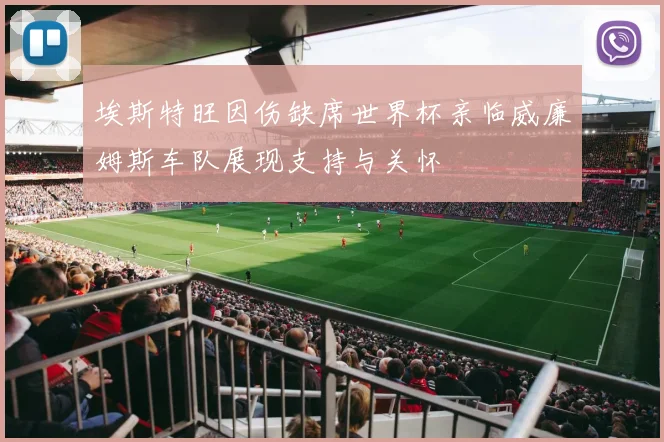 埃斯特旺因伤缺席世界杯亲临威廉姆斯车队展现支持与关怀