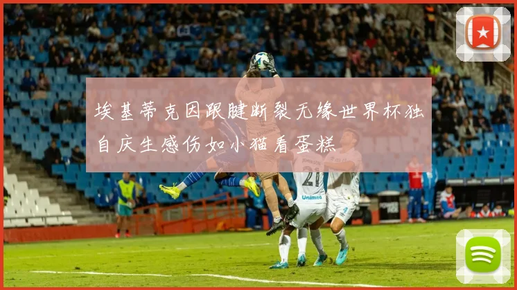 埃基蒂克因跟腱断裂无缘世界杯独自庆生感伤如小猫看蛋糕